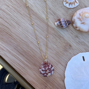 Etsy seashell necklace outlet