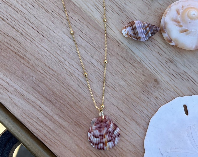 Unique *RARE* dainty seashell necklace
