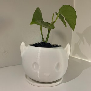 cute cat planter