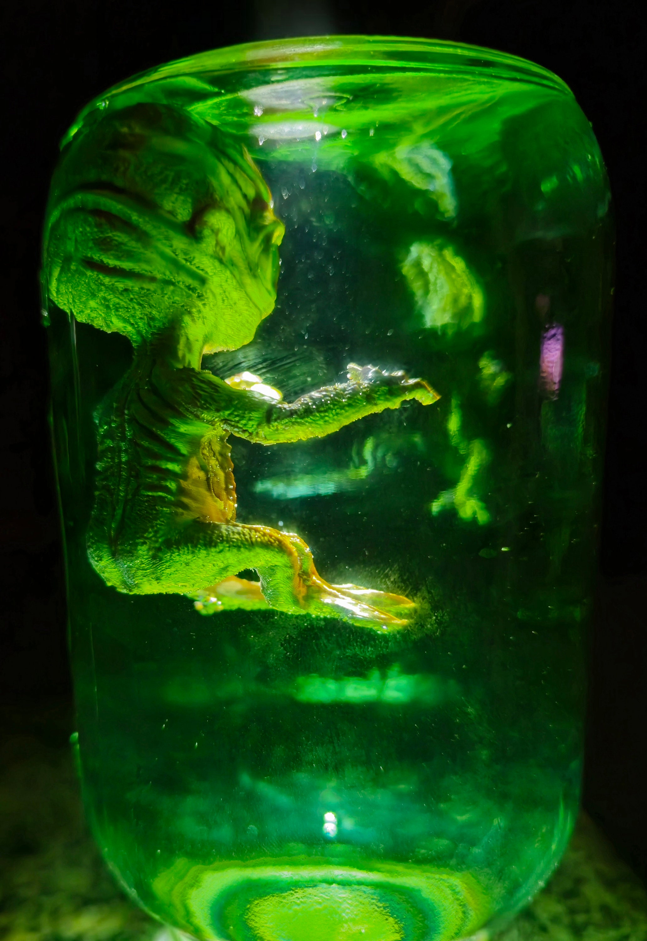 Preserved Alien in a Jar – 3D Printed Specimen With LED Glow | Sci-fi ...