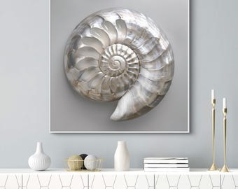 Elegant Nautilus Shell Square Painting Print- Sea Shell Wall Art for Hallway and Beach House Decor, Underwater and Marine Life Art
