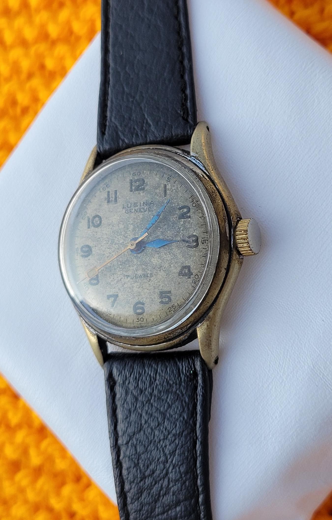 VTG Lusina Geneve 20MM Wind Up Women\'s Watch 21 Jewels Scarab Band 7\