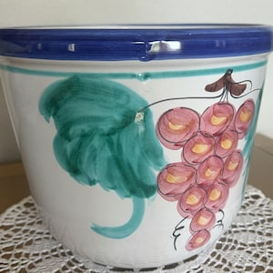 Puede incluir: Maceta de cerámica blanca con borde azul y diseño pintado a mano de hojas verdes y un racimo de uvas rosas. La maceta tiene una forma ancha y redondeada, adecuada para uso en interiores o exteriores.