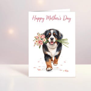 May include: A greeting card with the text "Happy Mother's Day" features a watercolor illustration of a Bernese Mountain Dog carrying a bouquet of pink flowers. The dog is black, brown, and white, with a happy expression. Scattered pink petals add a decorative touch.