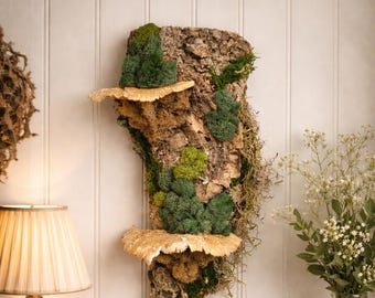 Deep Forest Fragment Wall Art, Floating Natural Wall Decor, Preserved Moss & Mushrooms, Vertical Cottagecore Aesthetic Earthy Wall Art
