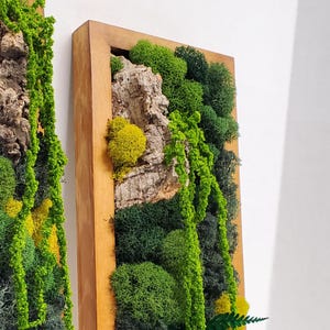 Moss Wall Art, Preserved Moss Art, Botanical Wall Art, Framed Rectangle Vertical and Horizontal Single - Four Set, Green Reindeer Sheet Pole