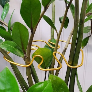 Indoor Houseplant Stem Brace, Monstera Leaf Shaped Plant Support, Indoor Garden Shaper Accessories, Cute Boho Plant Branch Wrap Holder