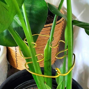 Monstera Leaf Shaped Plant Supports, Decorative Home Decor Plant Supports, Cute Indoor Potted Art, Artisan Bohemian Style Plant Trellis