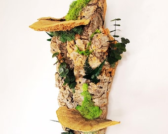 Forest Wall Art, Dark and Mystical Floating Natural Wall Decor, Preserved Moss & Mushrooms, Vertical Cottagecore Aesthetic Earthy Wall Art