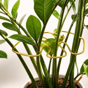 Handmade Monstera Plant Support | Leaf Shaped Stem Trellis for ZZ, Alocasia & Philodendron | Small to Medium Houseplant Wire Support