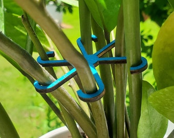 Pack of 6 Stem Supports for Climbing Houseplants | Indoor Plant Support for Philodendron, Alocasia, Monstera | Plant Organizer and Separator