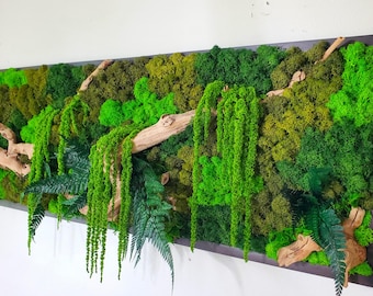 Moss Wall Art, Preserved Moss Art, Botanical Wall Art, Wood Frame Sets, Cottagecore Wall Display, Natural Forest and Jungle Style Moss Art