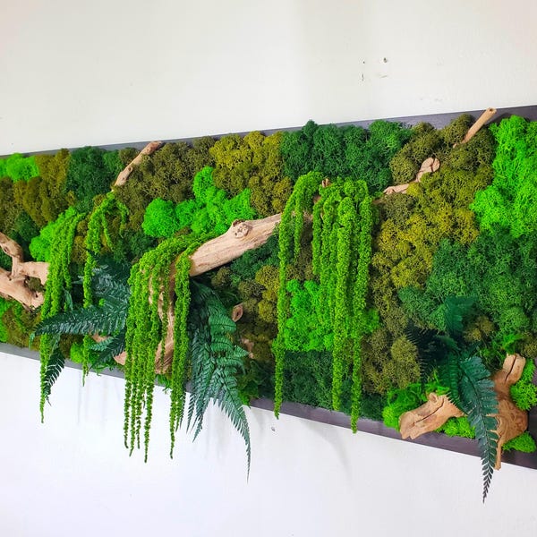 Preserved Moss Wall Art, Driftwood, Botanical Forest Jungle Frame, Greenery Home Decor