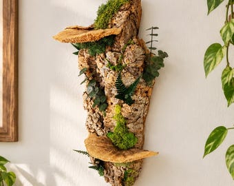 May include: A vertical wall-mounted display piece crafted from a textured piece of natural cork bark. The bark is adorned with patches of vibrant green moss, two prominent shelf-like fungi, and small sprigs of dark green eucalyptus and fern foliage.