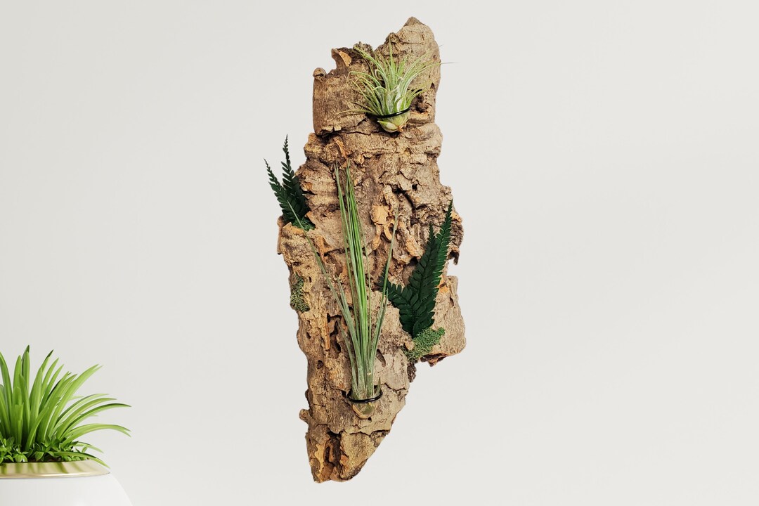 Neherp Live Mounted Microgramma on Cork Flat