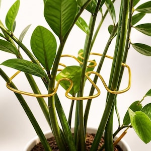 Handmade Monstera Leaf Shaped Plant Support for Small Houseplants | Decorative Stem Trellis for ZZ, Alocasia, Philodendron & Young Monstera