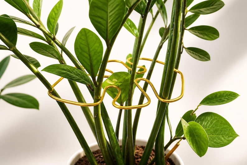 Handmade Monstera Plant Support | Leaf Shaped Stem Trellis for ZZ, Alocasia & Philodendron | Small to Medium Houseplant Wire Support image 1