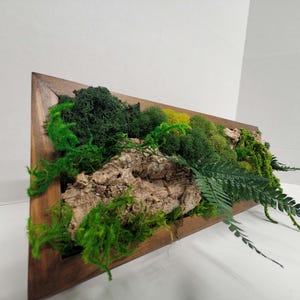 Moss Wall Art, Preserved Moss Art, Botanical Wall Art, Framed Rectangle Vertical and Horizontal Single - Four Set, Green Reindeer Sheet Pole