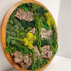 Round Framed Moss Wall Art, Preserved Moss Art, Cork Moss Wall Decor, Wood Frame Sets, Cottagecore Wall Art, Green Reindeer Sheet Pole Moss