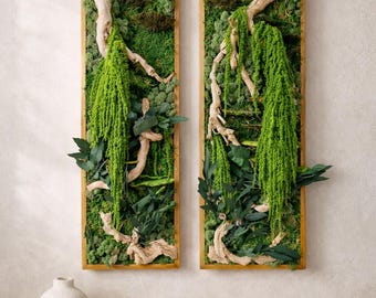Moss Wall Decor, Natural Forest Preserved Moss Art, Boho Botanical Wall Art, Jungle Style Wood Frame Sets, Cottagecore Mushroom Art Display