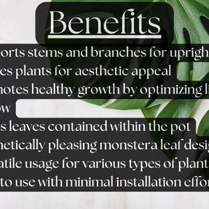 Indoor Houseplant Stem Brace, Monstera Leaf Shaped Plant Support, Indoor Garden Shaper Accessories, Cute Boho Plant Branch Wrap Holder image 3