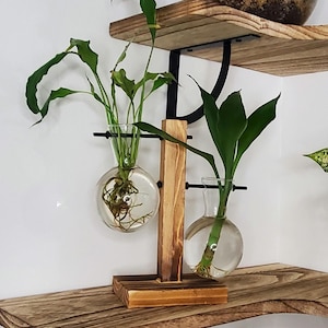 Eco Friendly Propagation Gift Kit, House Warming Idea, Indoor Garden Cultivation, Propagate Plant Clippings, Twin Vase Bundle Planting Set