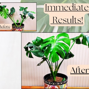 Soportes para plantas con forma de hoja de monstera, soportes decorativos para plantas de interior, bonitos adornos para macetas, enrejado para plantas de estilo bohemio artesanal. imagen 3