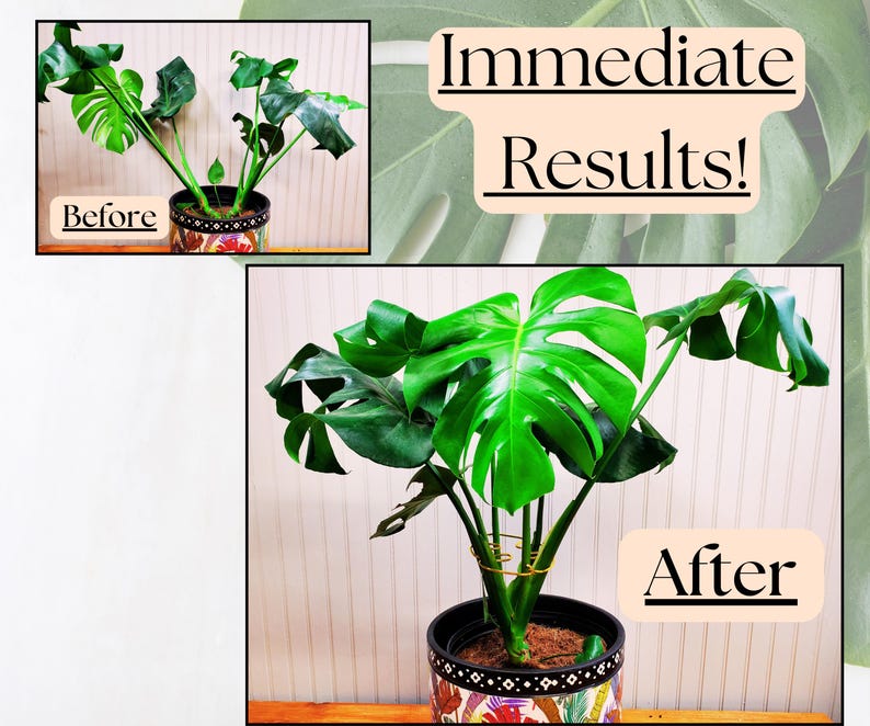 Soportes para plantas con forma de hoja de monstera, soportes decorativos para plantas de interior, bonitos adornos para macetas, enrejado para plantas de estilo bohemio artesanal. imagen 3