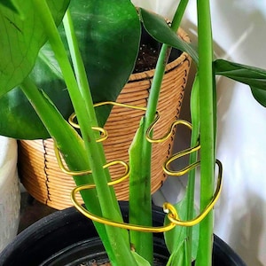 Monstera Leaf Shaped Plant Supports, Decorative Home Decor Plant Supports, Cute Indoor Potted Art, Artisan Bohemian Style Plant Trellis