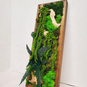 Boho Moss Wall Art, Preserved Moss Wall Decor, Botanical Framed Display, Vertical and Horizontal Orientations, Natural Hanging Display Art