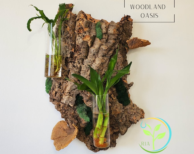 Woodland Oasis Propagation Forest Wall Art, Floating Natural Wall Decor, Preserved Moss & Mushrooms, Vertical Aesthetic Propagation Gift Set