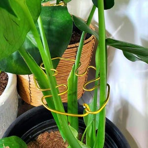 Monstera Leaf Shaped Plant Support, Decorative Home Decor Plant Supports, Cute Indoor Potted Plant Art, Artisan Bohemian Style Plant Trellis