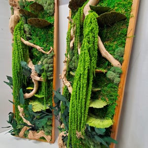 Moss Wall Decor, Natural Forest Preserved Moss Art, Boho Botanical Wall Art, Jungle Style Wood Frame Sets, Cottagecore Mushroom Art Display