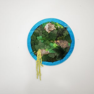 Round Framed Moss Wall Art, Preserved Moss Art, Cork Moss Wall Decor, Wood Frame Sets, Cottagecore Wall Art, Green Reindeer Sheet Pole Moss