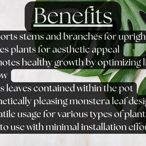Soportes para plantas de interior de tamaño pequeño a mediano, soporte estético hecho a mano con forma de hoja de monstera. imagen 3