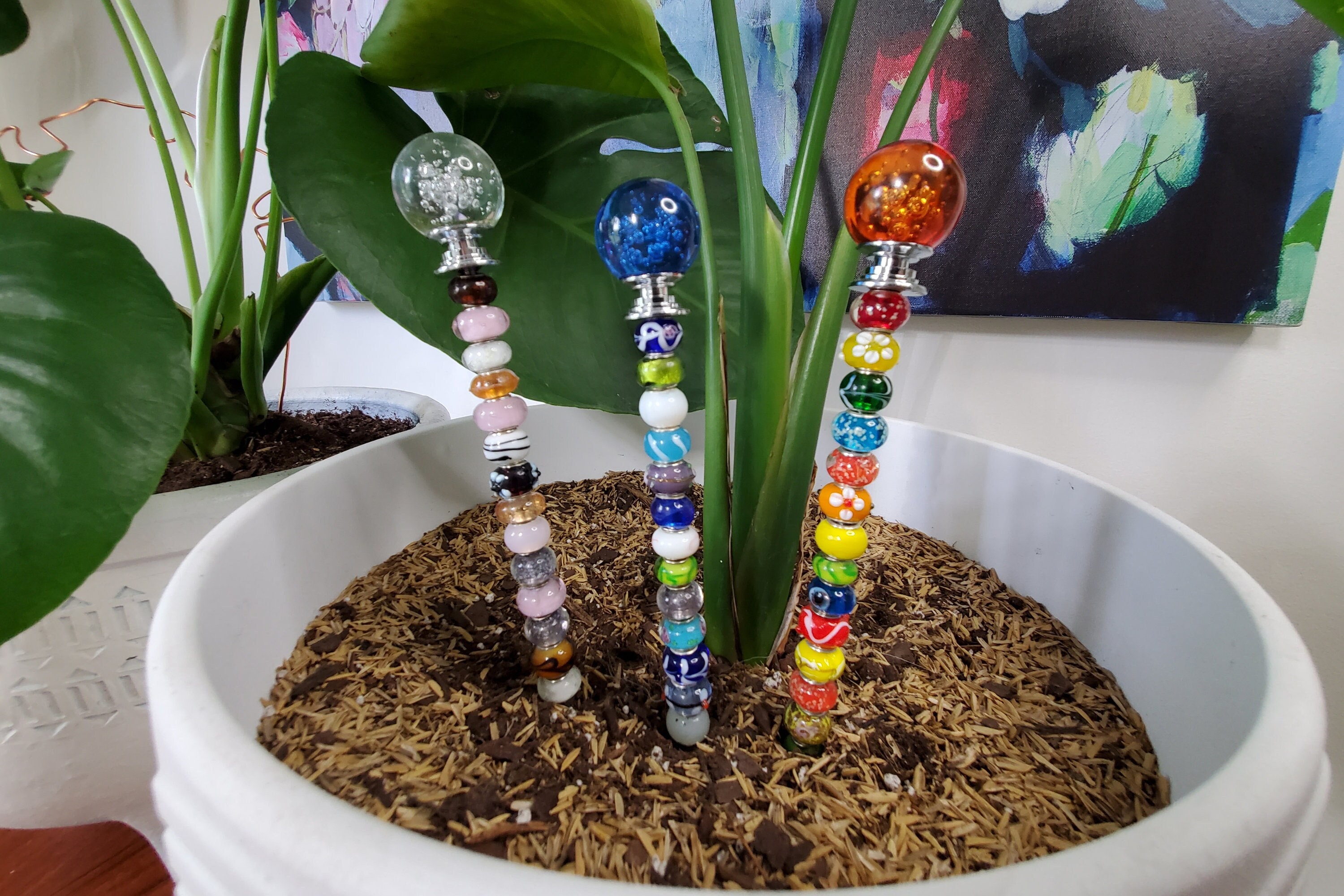 Hoya Glass - Etsy