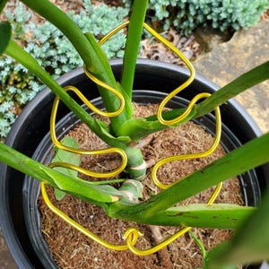 Soportes para plantas con forma de hoja de monstera, soportes decorativos para plantas de interior, bonitos adornos para macetas, enrejado para plantas de estilo bohemio artesanal. imagen 12