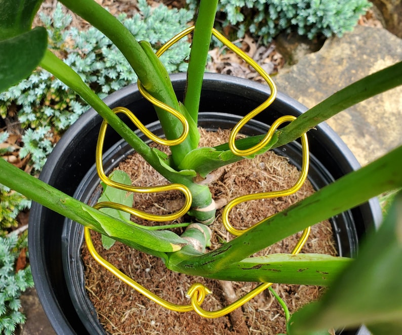 Soportes para plantas con forma de hoja de monstera, soportes decorativos para plantas de interior, bonitos adornos para macetas, enrejado para plantas de estilo bohemio artesanal. imagen 12