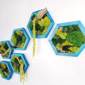 Moss Wall Art Decor | Handmade Wood Hexagon Display | Customizable Framed Art Single Set to Six | Preserved Natural Elements Vertical Art