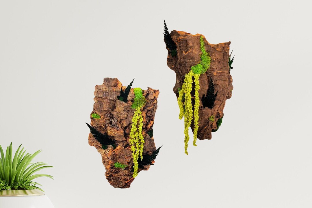 Picture of Natural Element Wall Art, Vertical Cork Garden Display, Maintenance ...