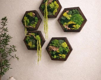 Moss Wall Art Decor | Handmade Wood Hexagon Display | Customizable Framed Art Single Set to Six | Preserved Natural Elements Vertical Art