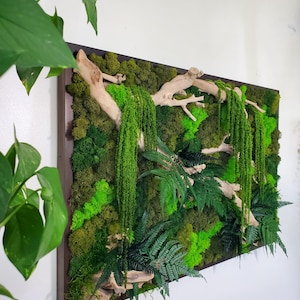 Customizable Moss Wall Art, Preserved Moss Botanical Wall Art, Large Wood Frame Sets, Horizontal or Vertical, Green Reindeer Sheet Pole Moss