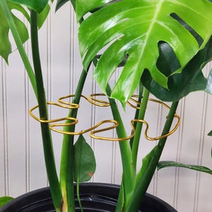 Soportes para plantas de interior de tamaño pequeño a mediano, soporte estético hecho a mano con forma de hoja de monstera. imagen 1