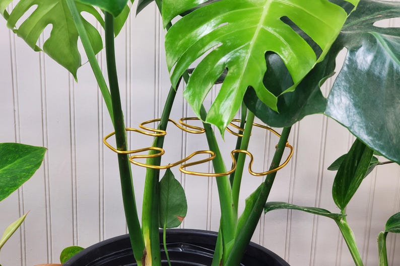 Soportes para plantas de interior de tamaño pequeño a mediano, soporte estético hecho a mano con forma de hoja de monstera. imagen 1