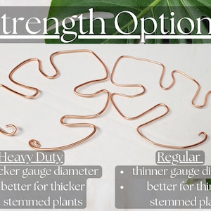 May include: Two different wire plant supports, one labeled "Heavy Duty" and the other labeled "Regular". The Heavy Duty support is thicker and the Regular support is thinner. Both supports are made of copper wire and are shaped like a leaf.