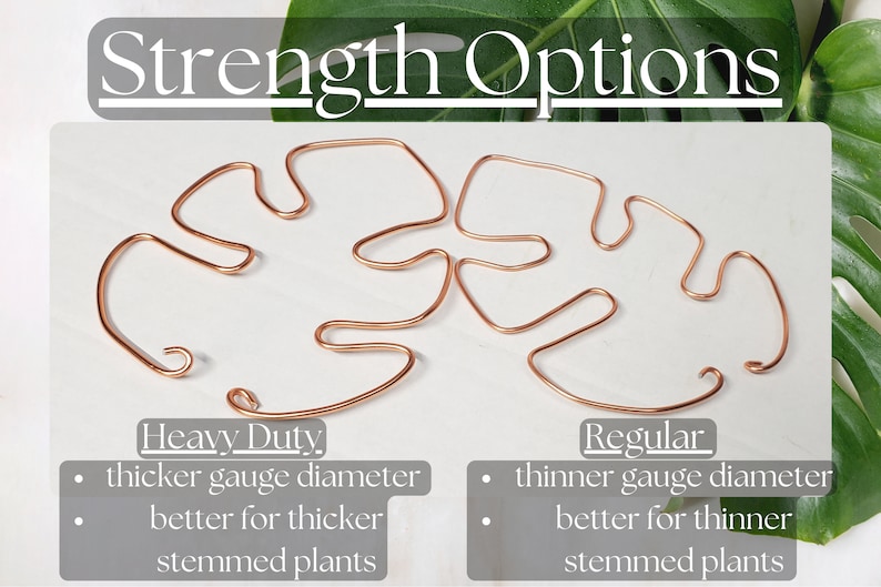 May include: Two different wire plant supports, one labeled "Heavy Duty" and the other labeled "Regular". The Heavy Duty support is thicker and the Regular support is thinner. Both supports are made of copper wire and are shaped like a leaf.