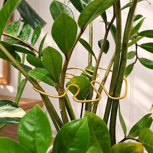 May include: A gold-colored metal plant support ring with a wavy, continuous design. The circular frame is positioned around the green stems and leaves of a ZZ plant, providing structure to the upright stalks of the indoor foliage.