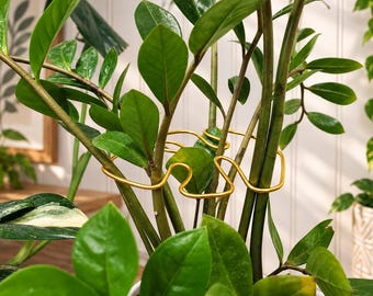 Indoor Plant Stem Support, Monstera Leaf Plant Brace, Boho Houseplant Support, Decorative Branch Wrap Holder, Climbing Plant Shaper