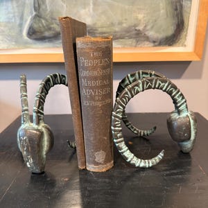 Op de afbeelding: Een paar donkerbronskleurige metalen boekensteunen in de vorm van ramshoofden met gebogen, getextureerde hoorns, die een antiek bruin hardcover boek flankeren met de titel The People's Common Sense Medical Adviser door R.V. Pierce, M.D.