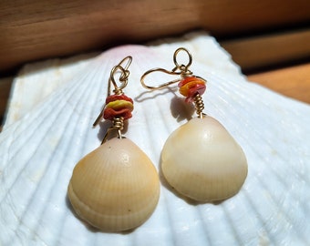 Seashell Wire Wrapped Earrings
